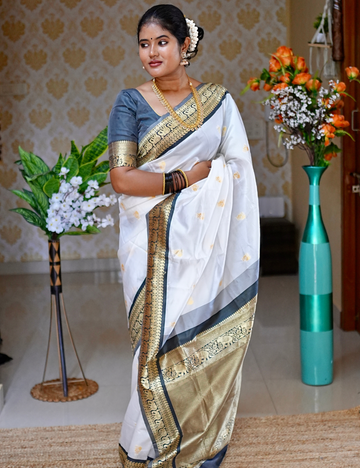Saree with Traditional Zari Detailing