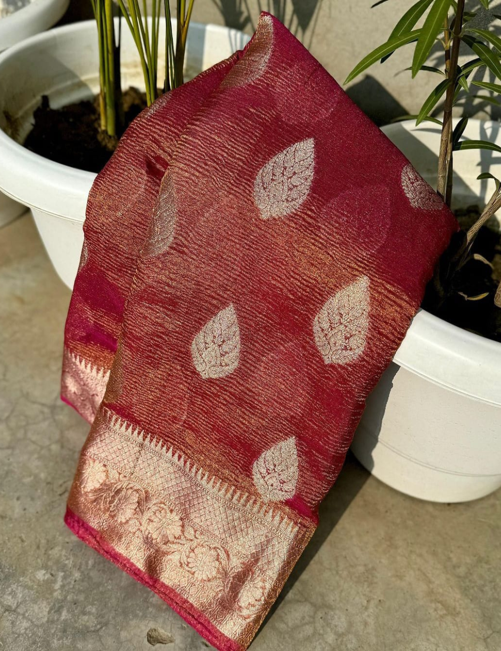 Ethereal Charm Semi Katan Tissue Silk Saree