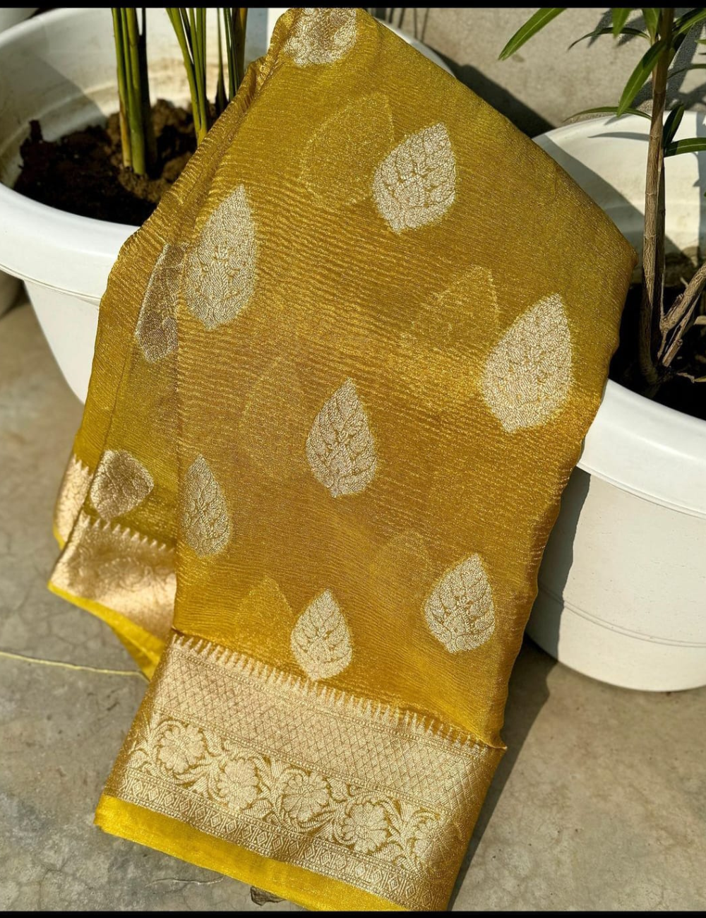 Ethereal Charm Semi Katan Tissue Silk Saree