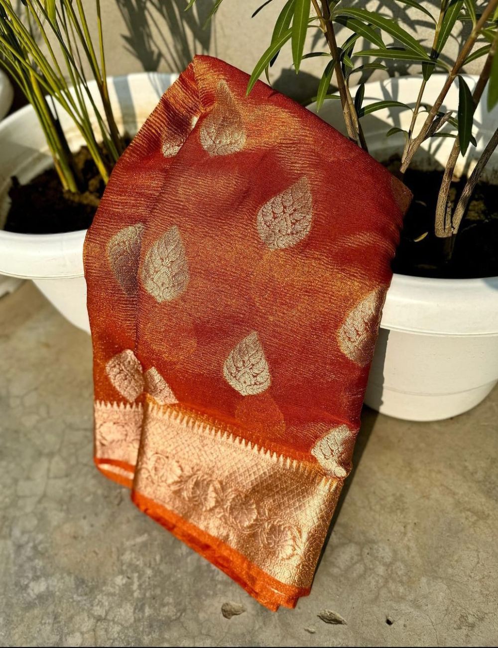 Ethereal Charm Semi Katan Tissue Silk Saree