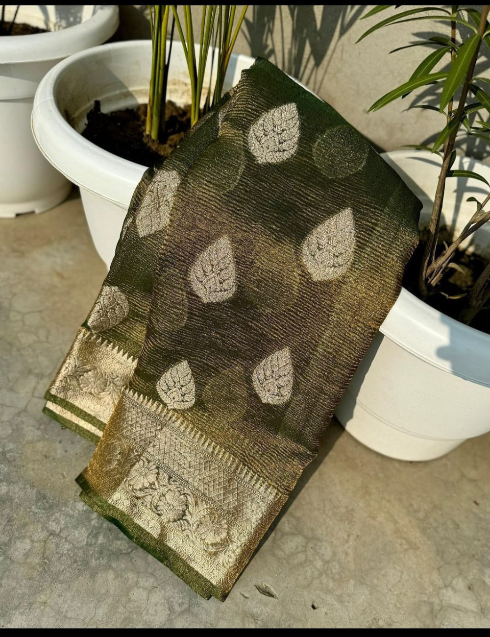 Ethereal Charm Semi Katan Tissue Silk Saree